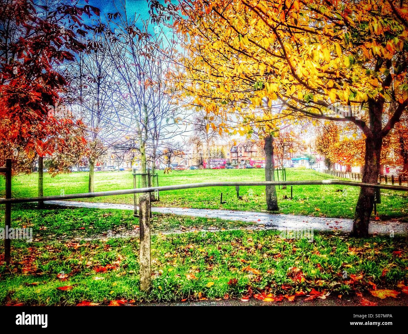 Autumn in Peckham Rye Park Stock Photo - Alamy