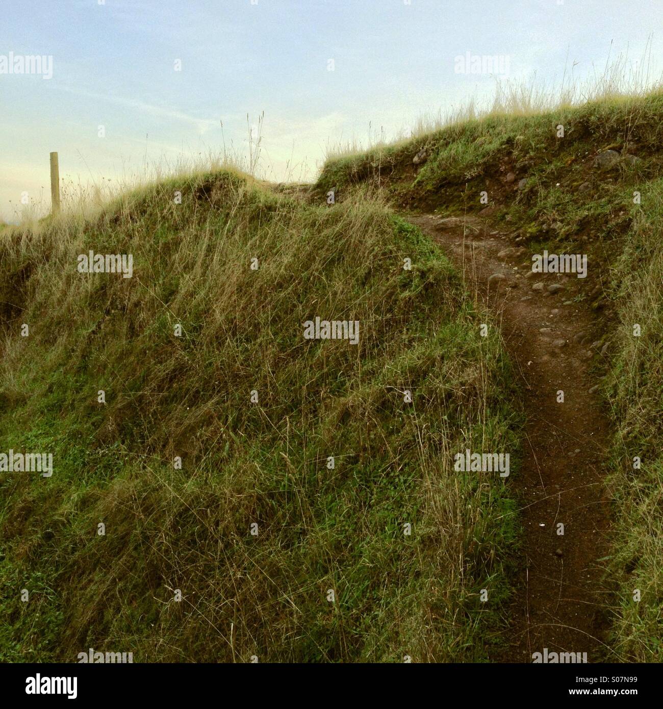 Mysterious path up grassy hill with sunny evening light. Stock Photo