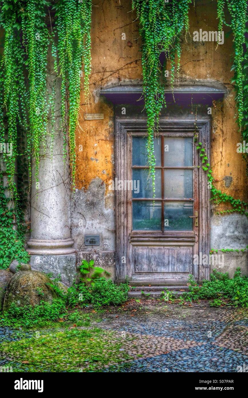 An antique and worn door, covered with climbing plants Stock Photo - Alamy