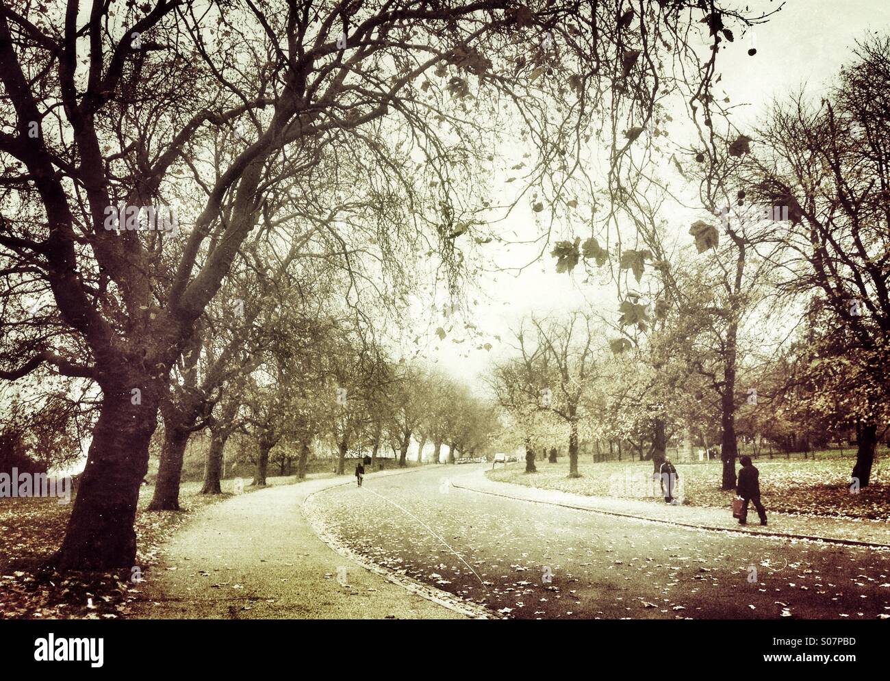 Finsbury Park in London on a late autumn day - Smartphone Captured Stock Image