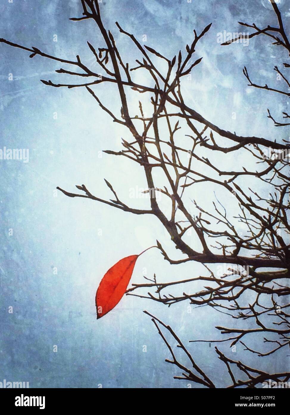 descobrir-41-imagem-the-last-leaf-background-thpthoangvanthu-edu-vn