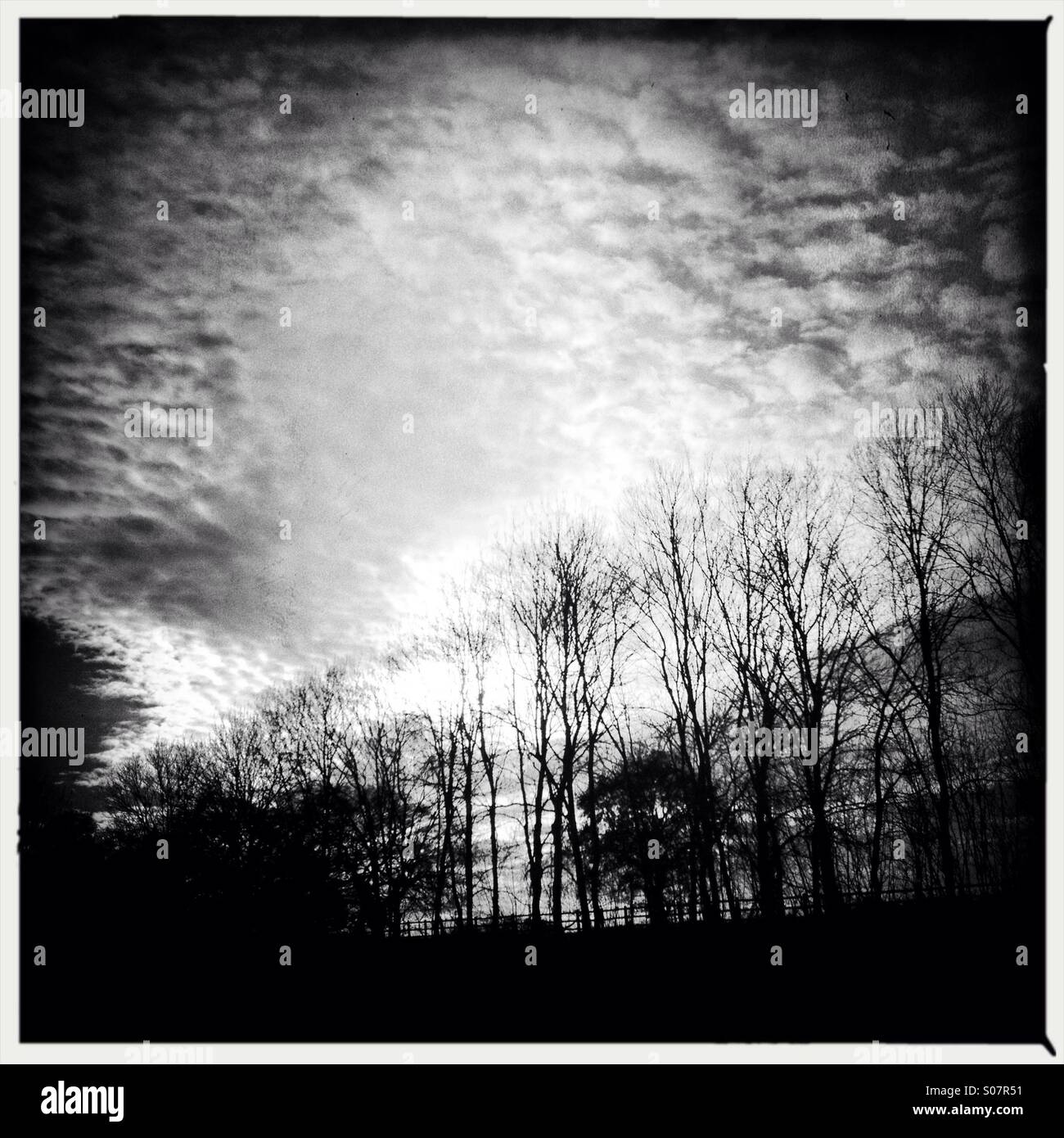 Gloomy winter view - Smartphone Captured Stock Image