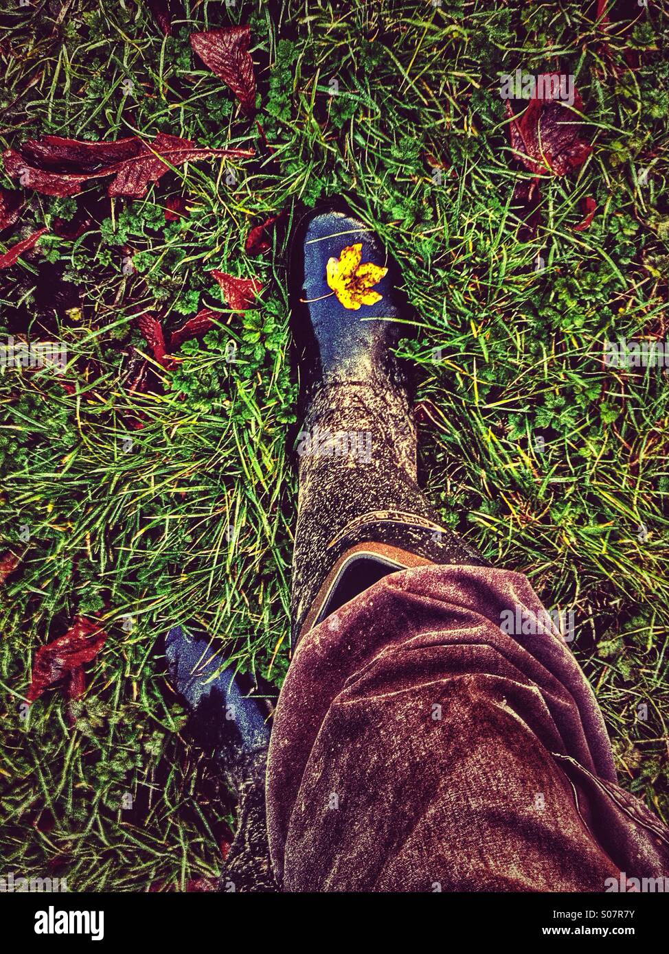 Looking down the legs of male to Wellingtons with single autumnal leaf on toe Stock Photo