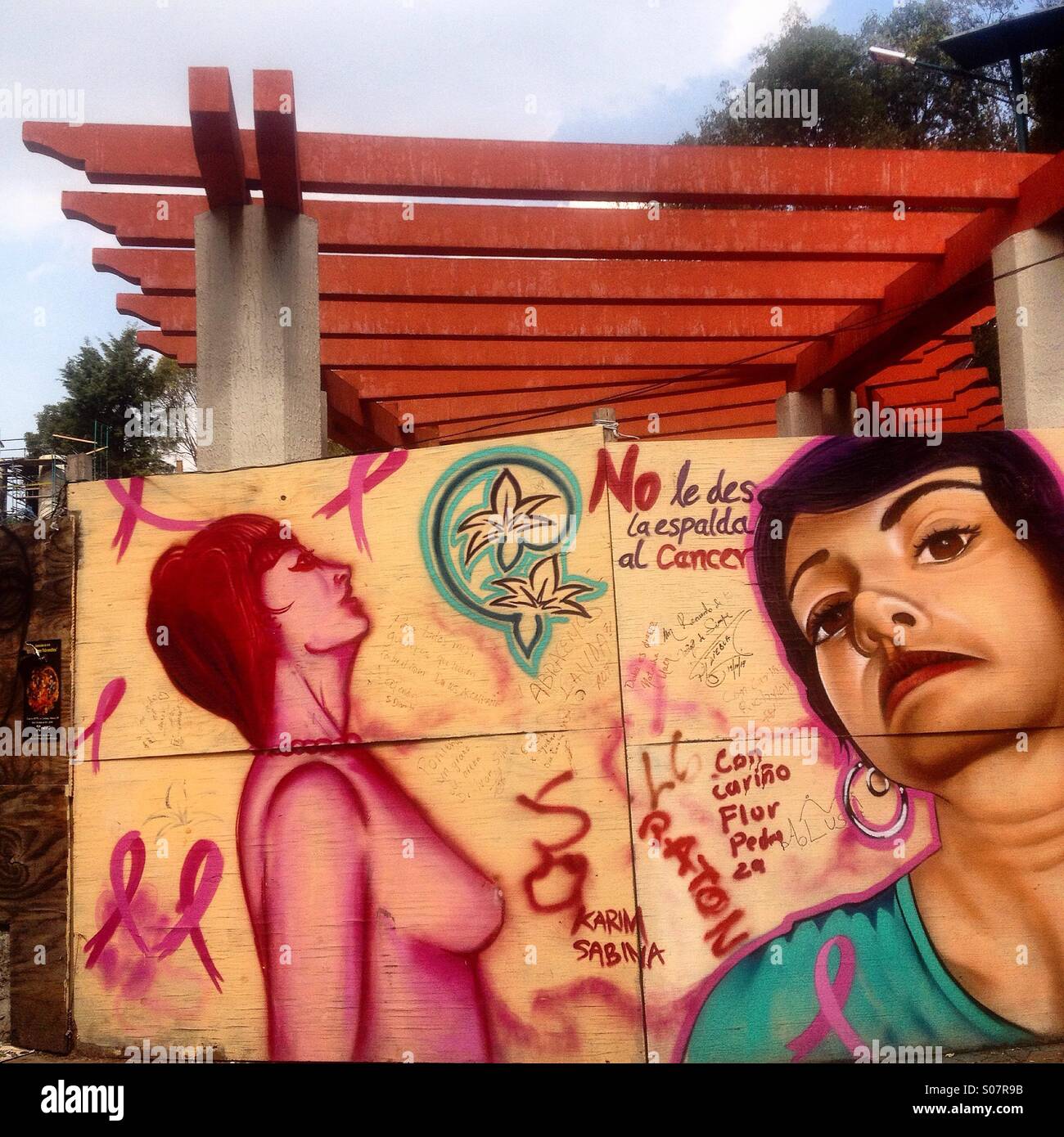 Street art in solidarity with women suffering cance decorates a wooden wall in Parque Mexico, Mexico City, Mexico Stock Photo