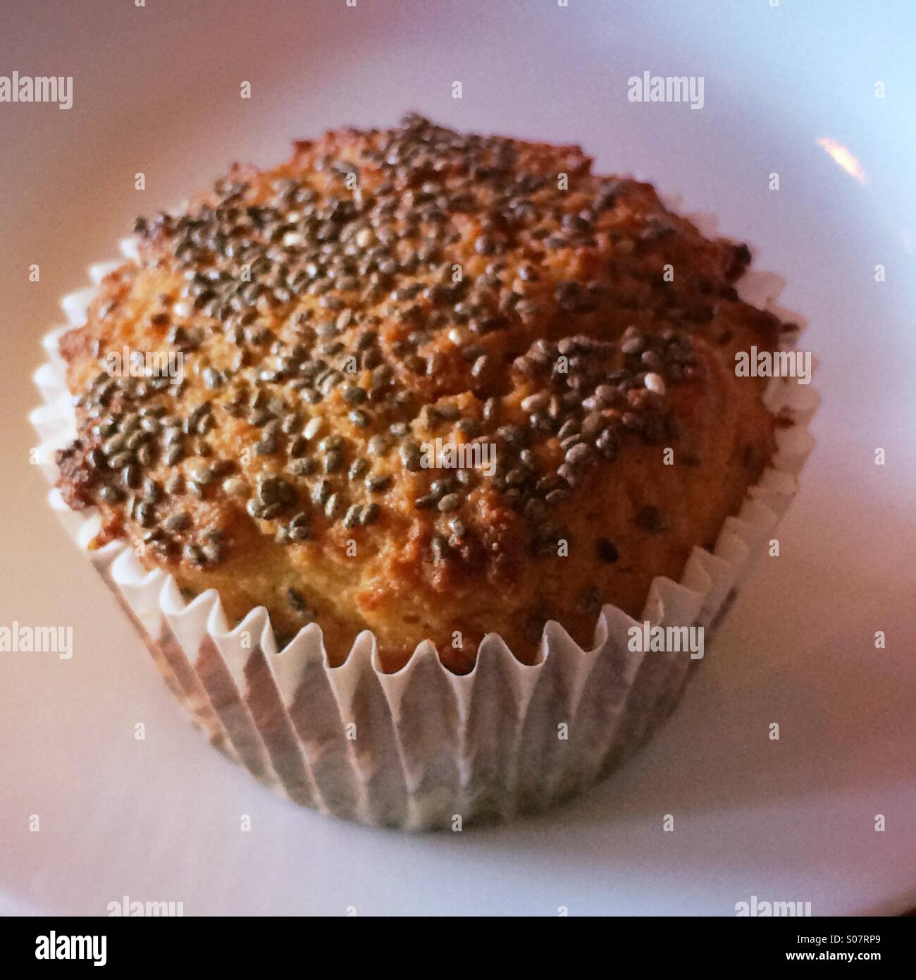 Coconut flower muffin with chia seeds ontop - Smartphone Captured Stock Image
