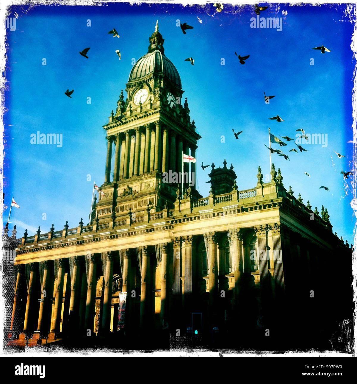Leeds town hall with pigeons. - Smartphone Captured Stock Image