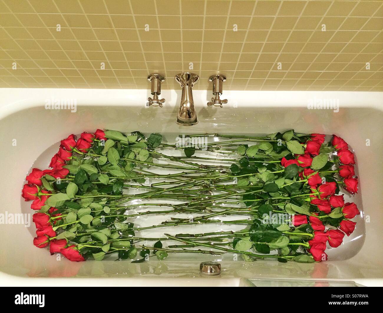 Red roses floating in the water hi-res stock photography and images - Alamy