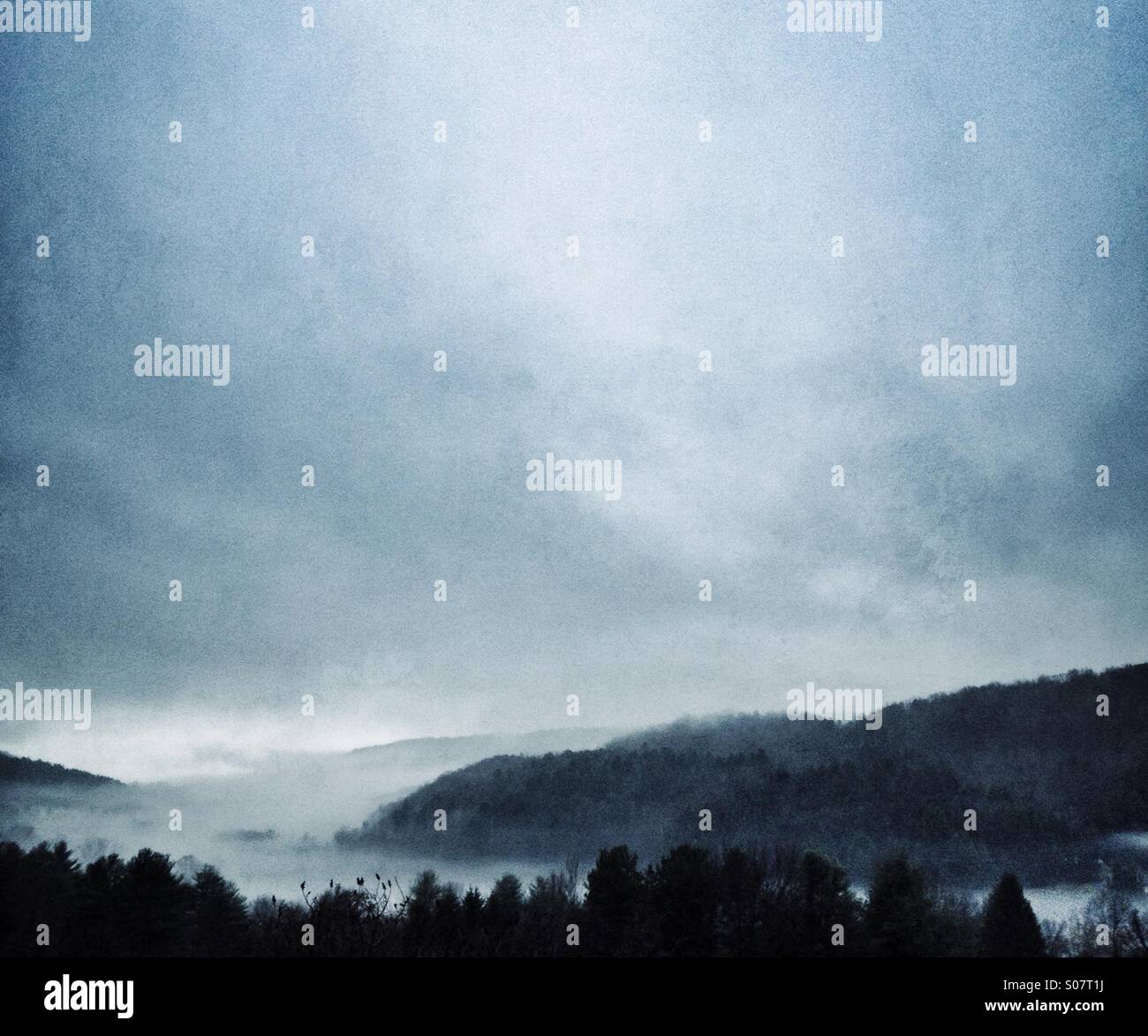 Fog - Smartphone Captured Stock Image