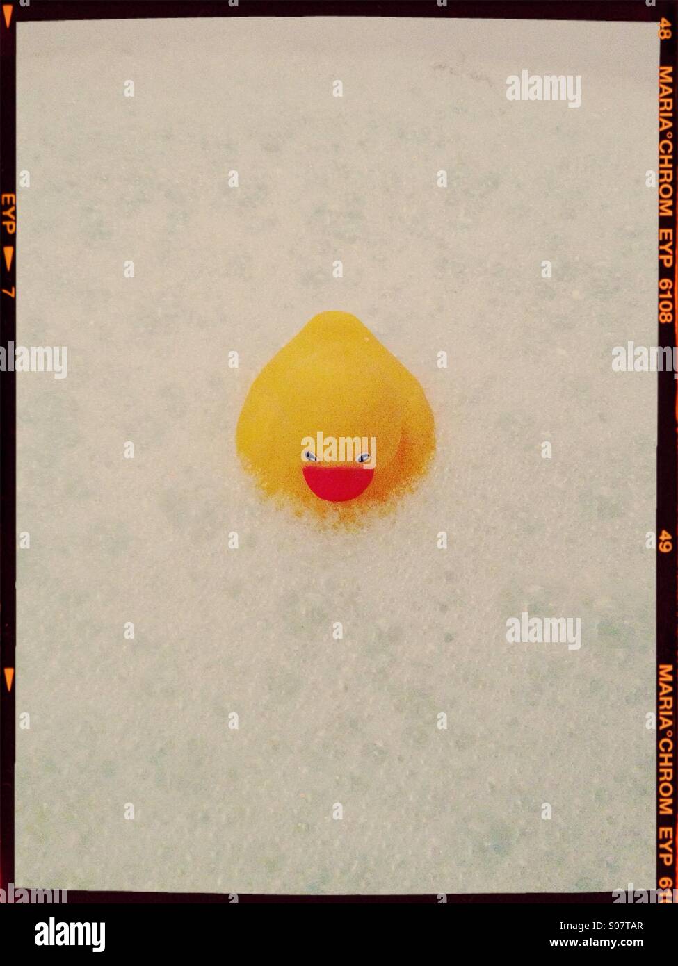 Rubber duck in bubbles Stock Photo
