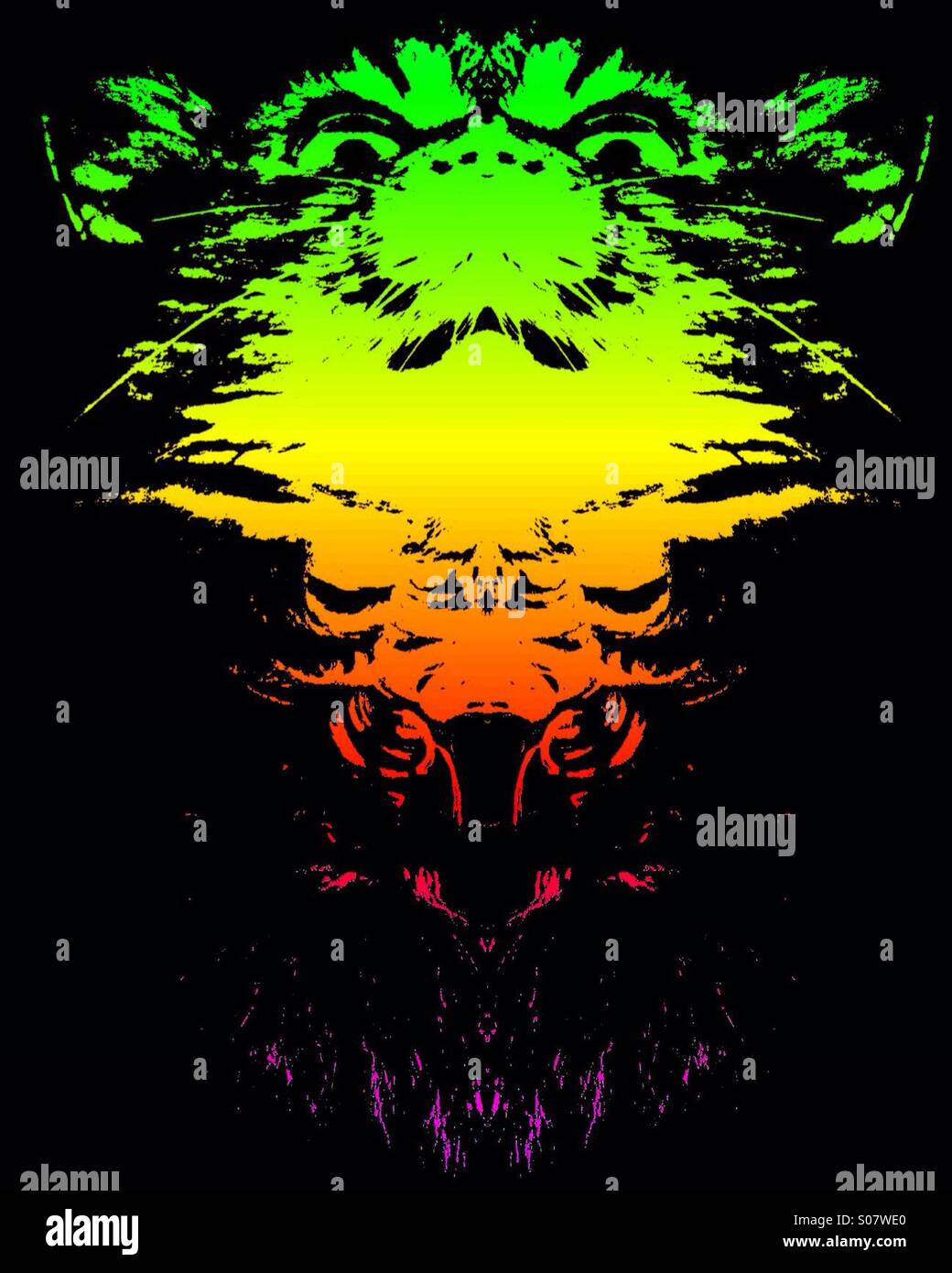 Symmetrical photo of a cat - Smartphone Captured Stock Image