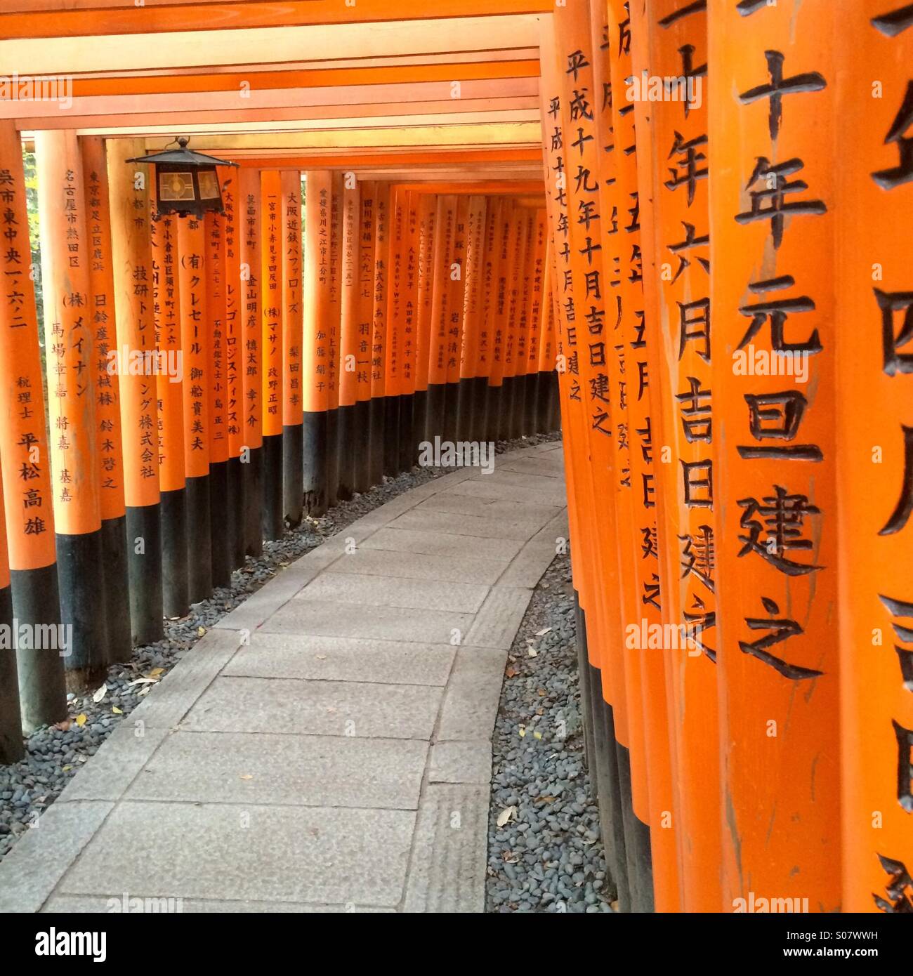 Orange Torii Gates, Fushimi Inari shrine, Kyoto, Japan Stock Photo Alamy