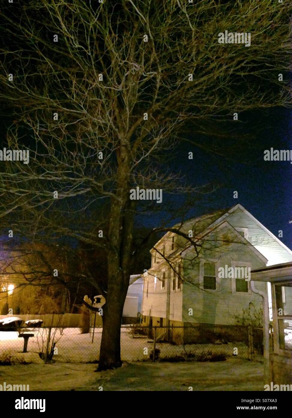 Tree and house Stock Photo