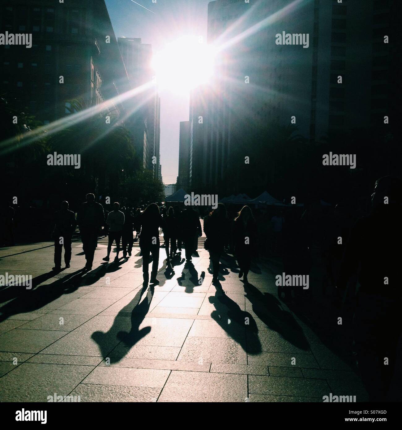 Dark in the shadows - Smartphone Captured Stock Image