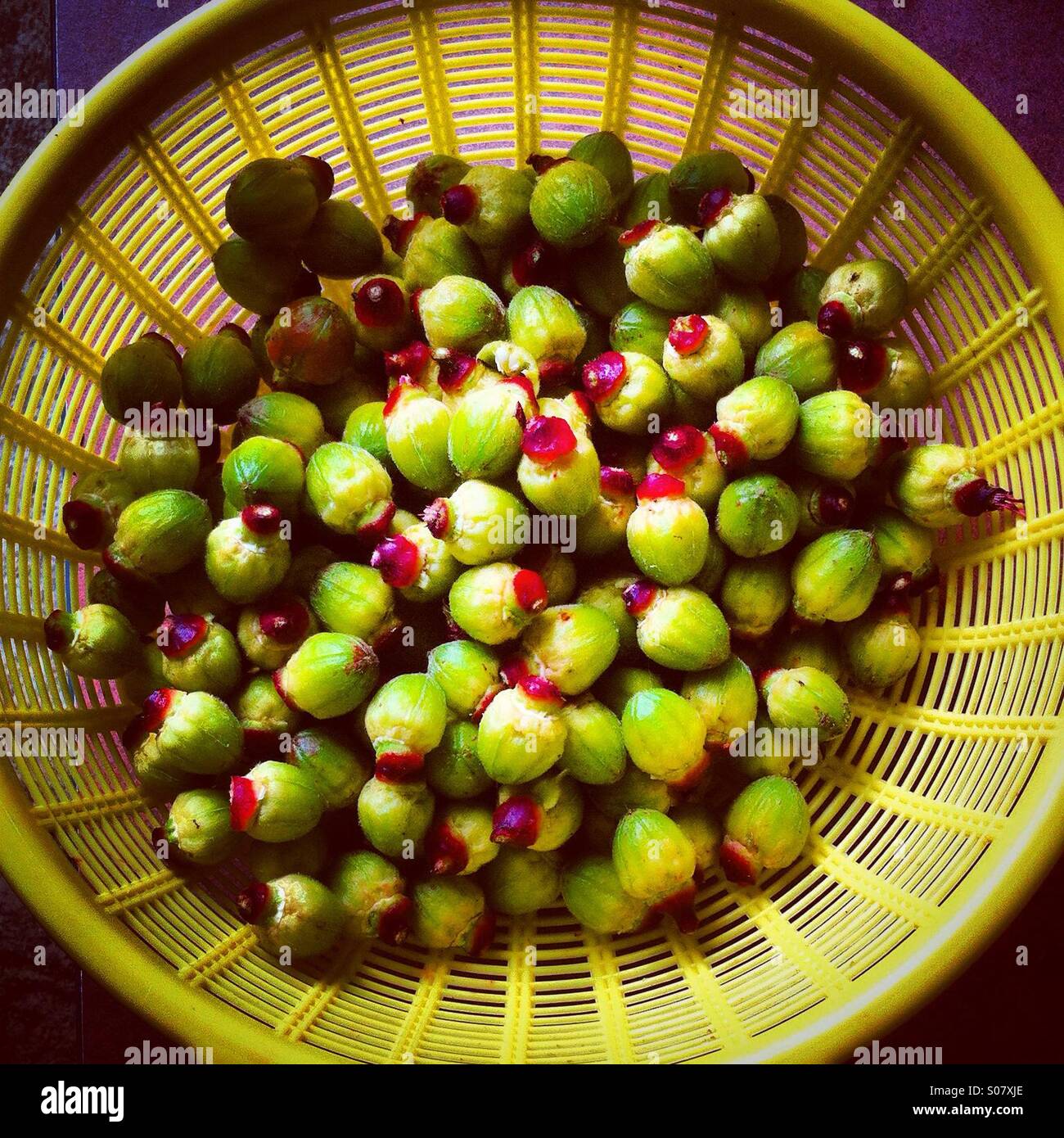 Fruit seeds in a plastic basket - Smartphone Captured Stock Image