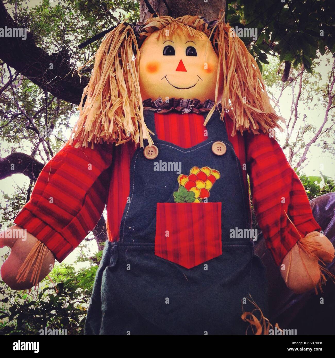 Giant scarecrow doll in a garden - Smartphone Captured Stock Image