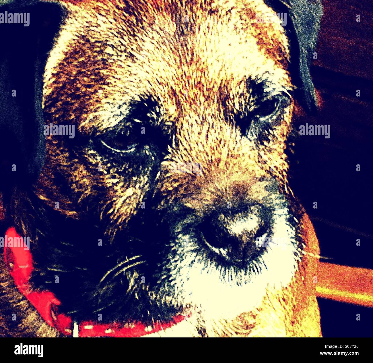 Concentration - Smartphone Captured Stock Image