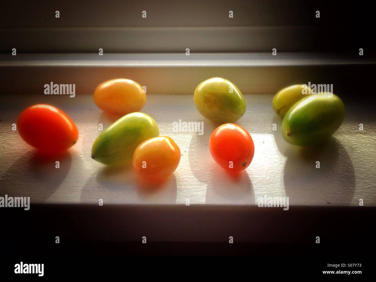 Small red and green tomatoes ripening on a windowsill - Smartphone Captured Stock Image