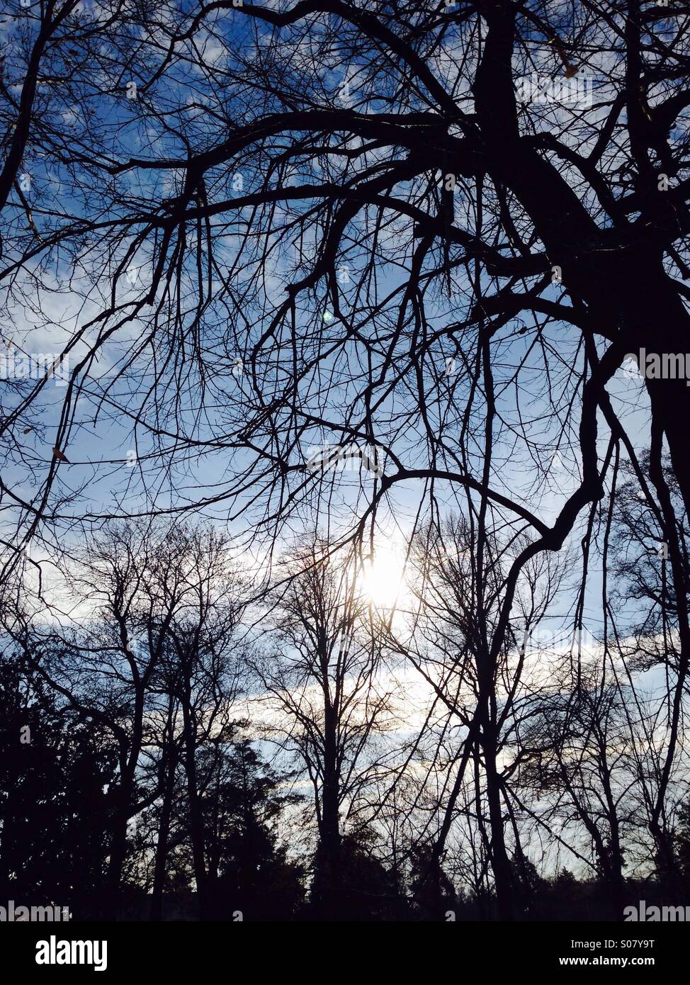 Tree sky cloud hi-res stock photography and images - Alamy