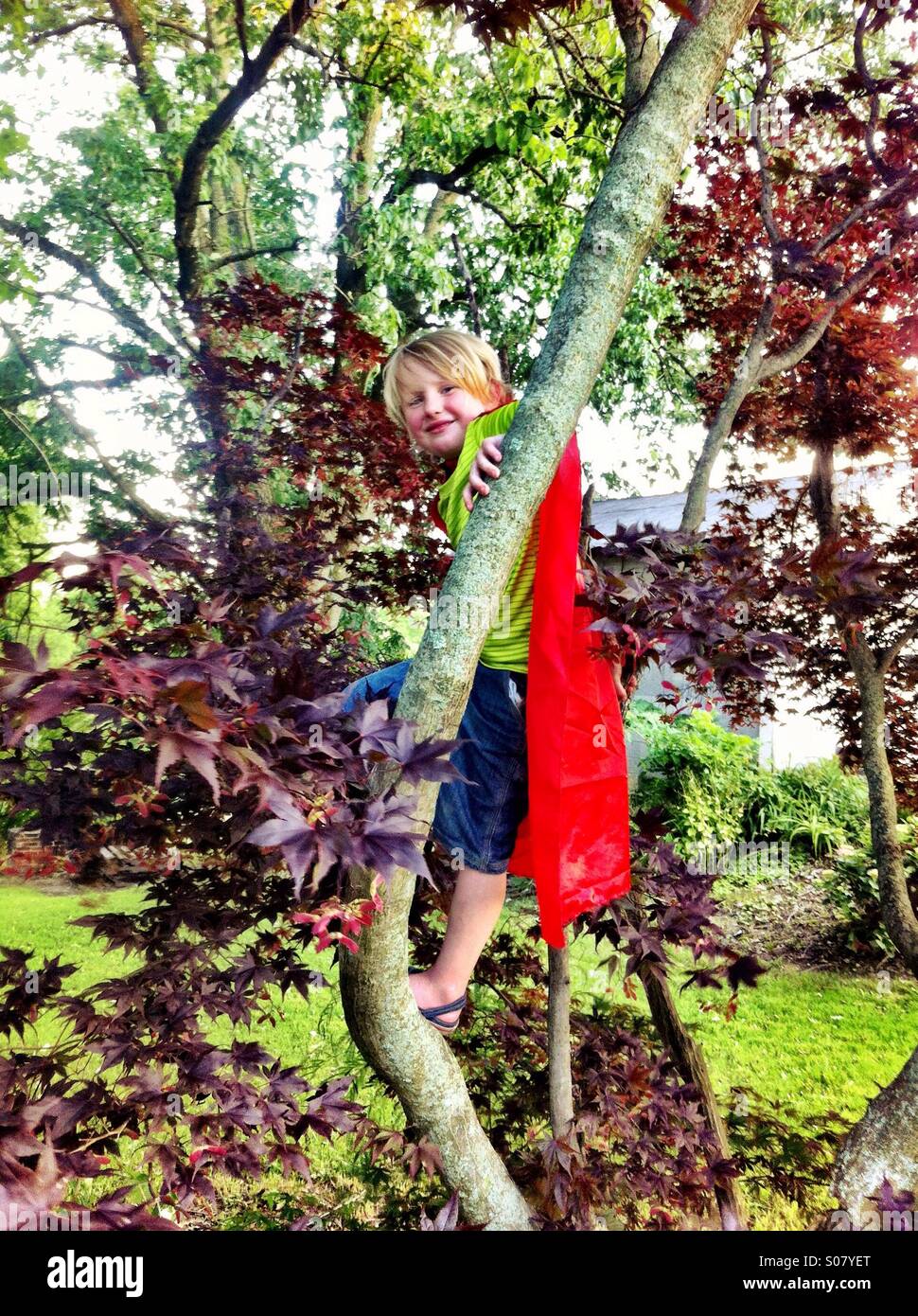 Child Climbing A Tree Stock Photo Alamy
