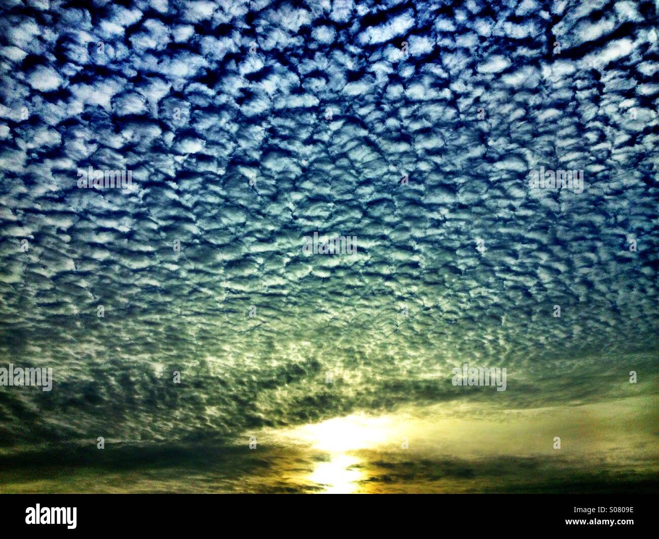 Sun was coming up - Smartphone Captured Stock Image
