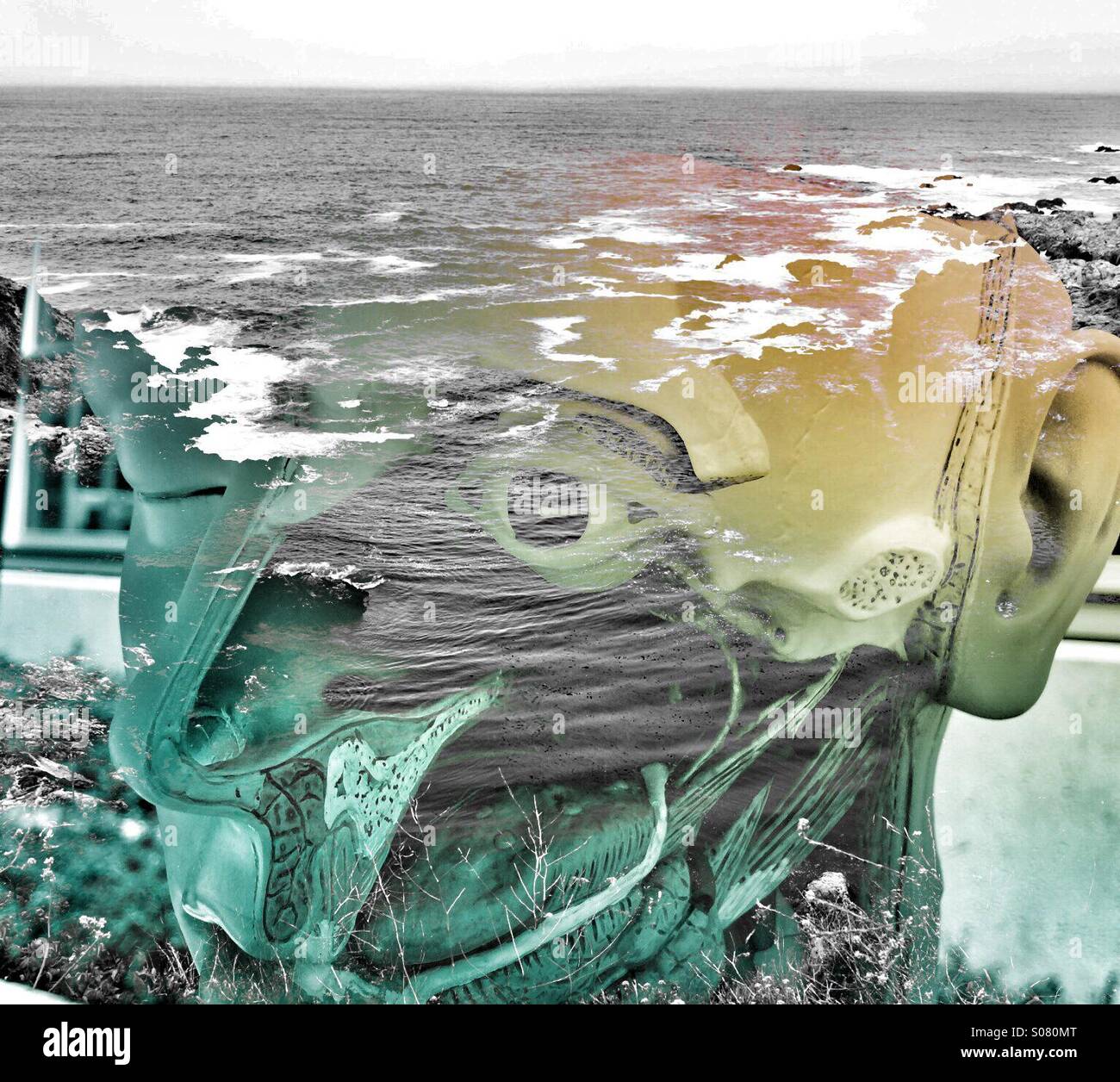 A medical mannequin blended with a photo of the ocean. - Smartphone Captured Stock Image