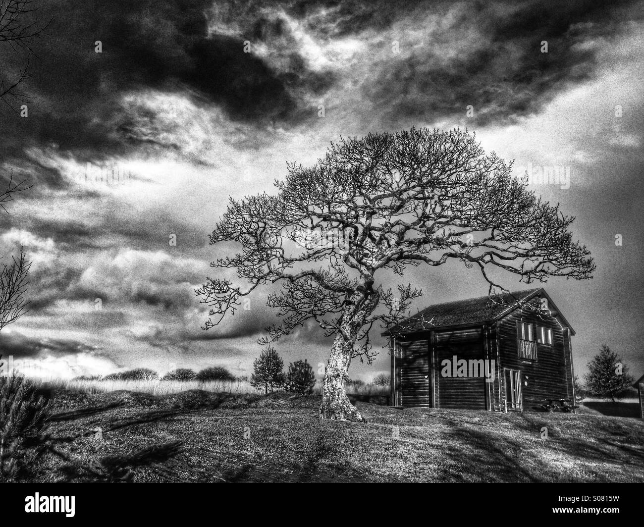 Cabin Black and White Stock Photos & Images - Alamy