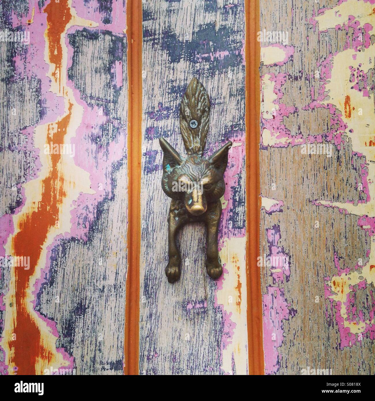 Fox door knob hires stock photography and images Alamy