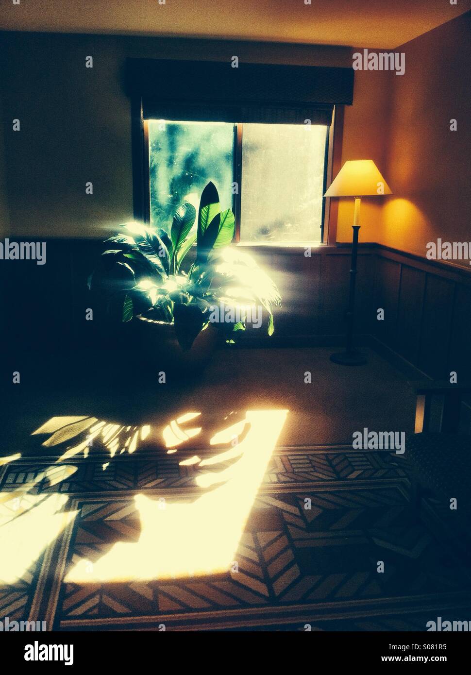 Sunlight streaming through window Stock Photo