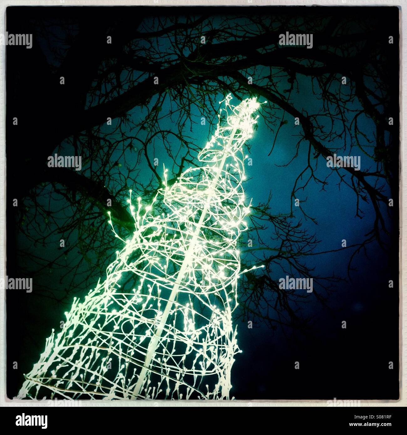 Christmas lights in shape of tree Stock Photo Alamy