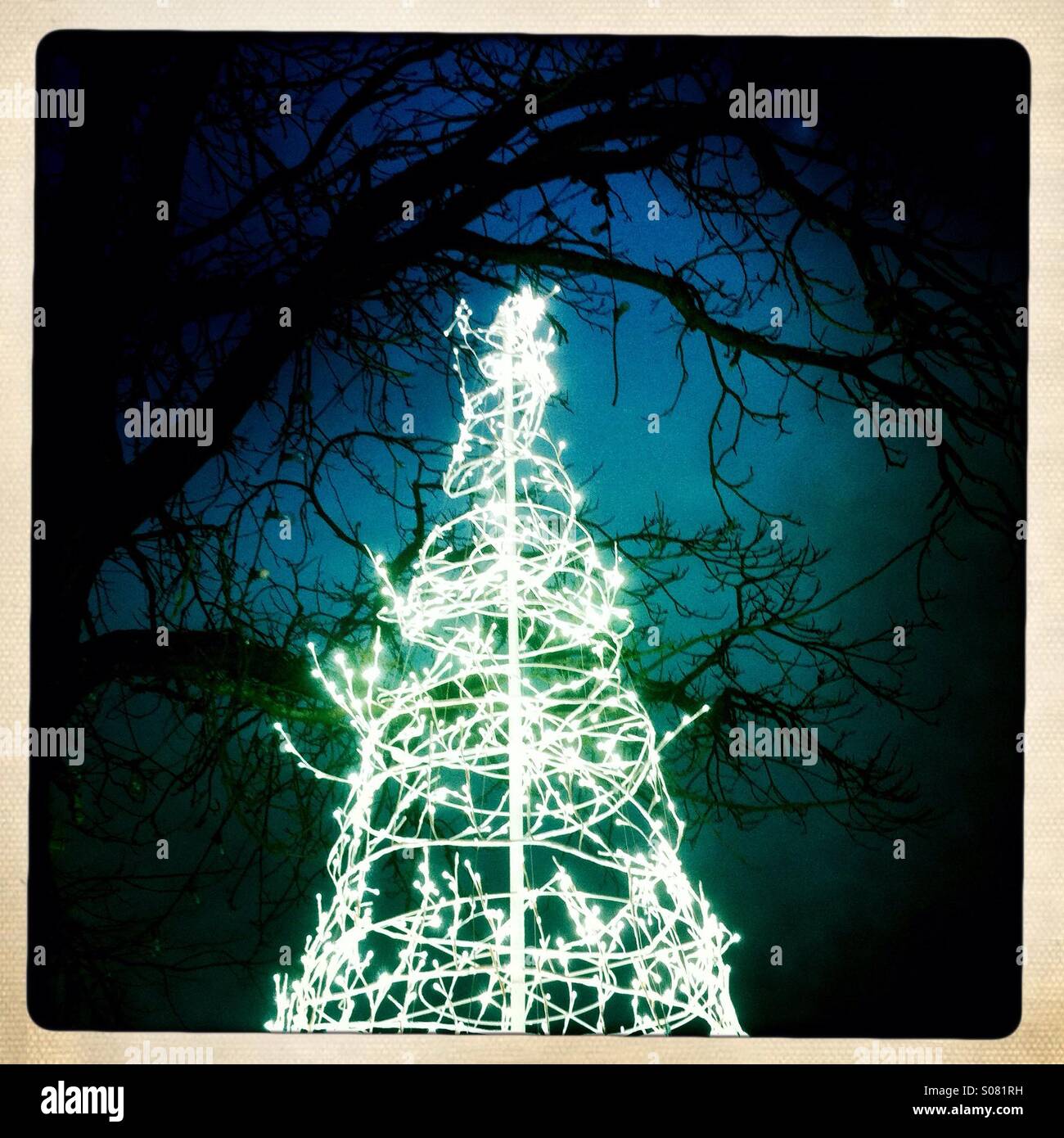 Christmas lights in shape of tree Stock Photo Alamy