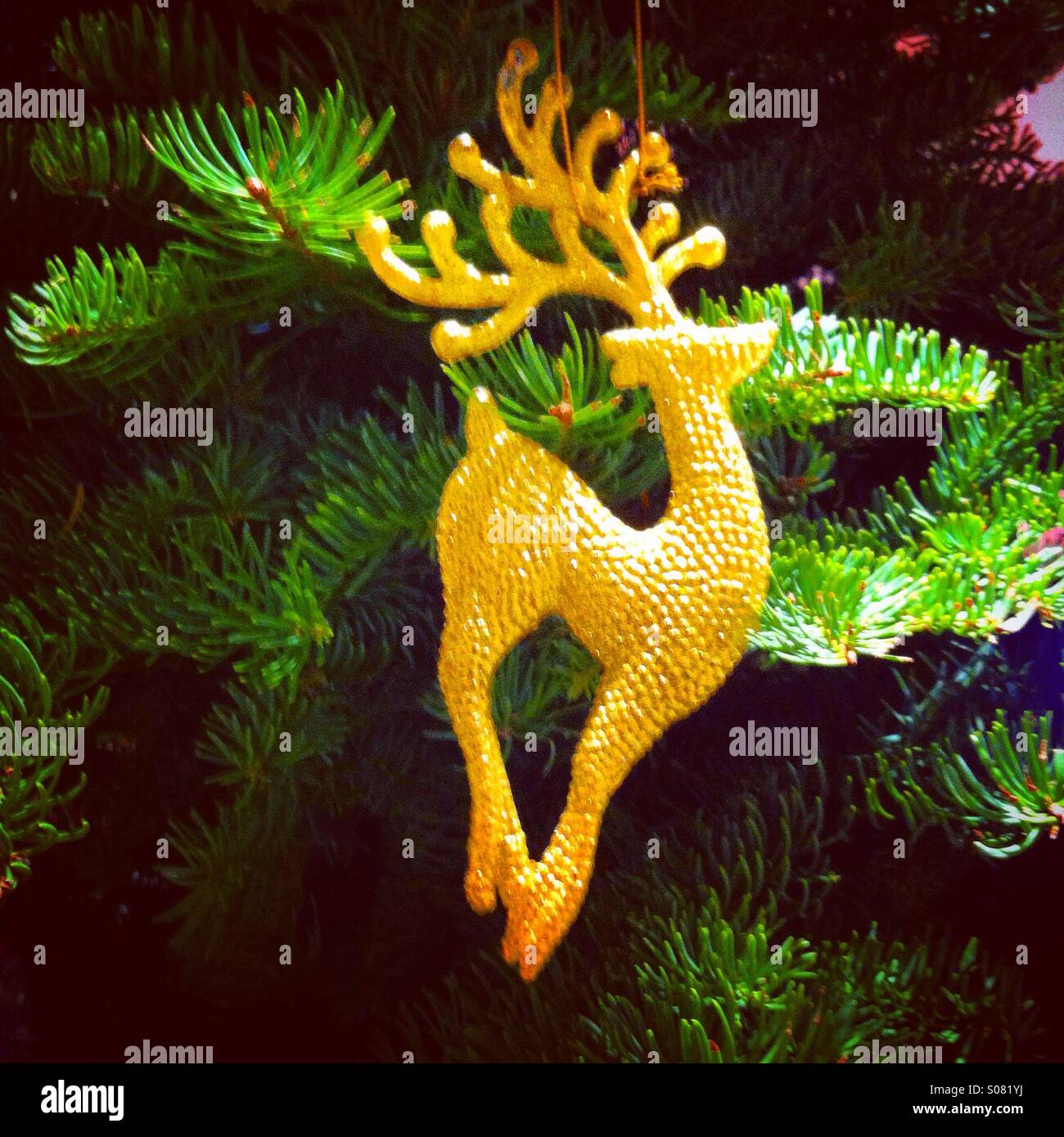 Reindeer in gold. Christmas decoration - Smartphone Captured Stock Image