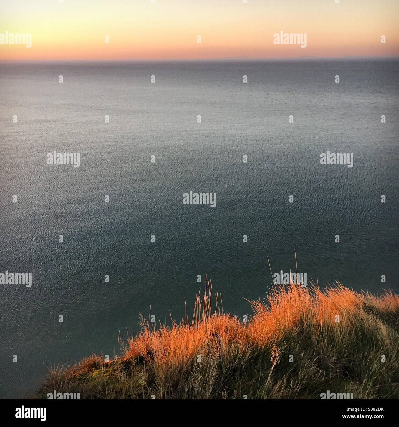 Late evening sun on grasses on coast, sea background - Smartphone Captured Stock Image