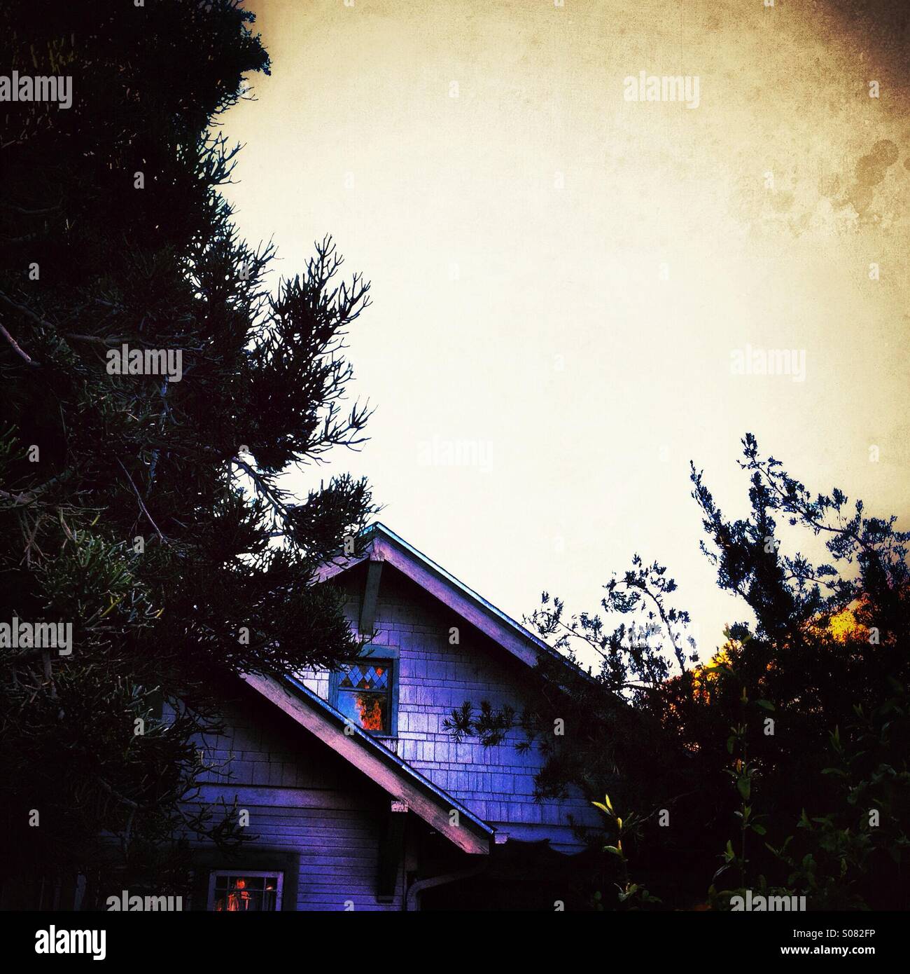 House behind trees at dusk - Smartphone Captured Stock Image