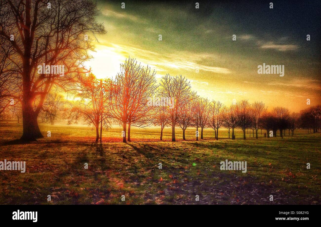 Sunrise on Peckham Rye - Smartphone Captured Stock Image