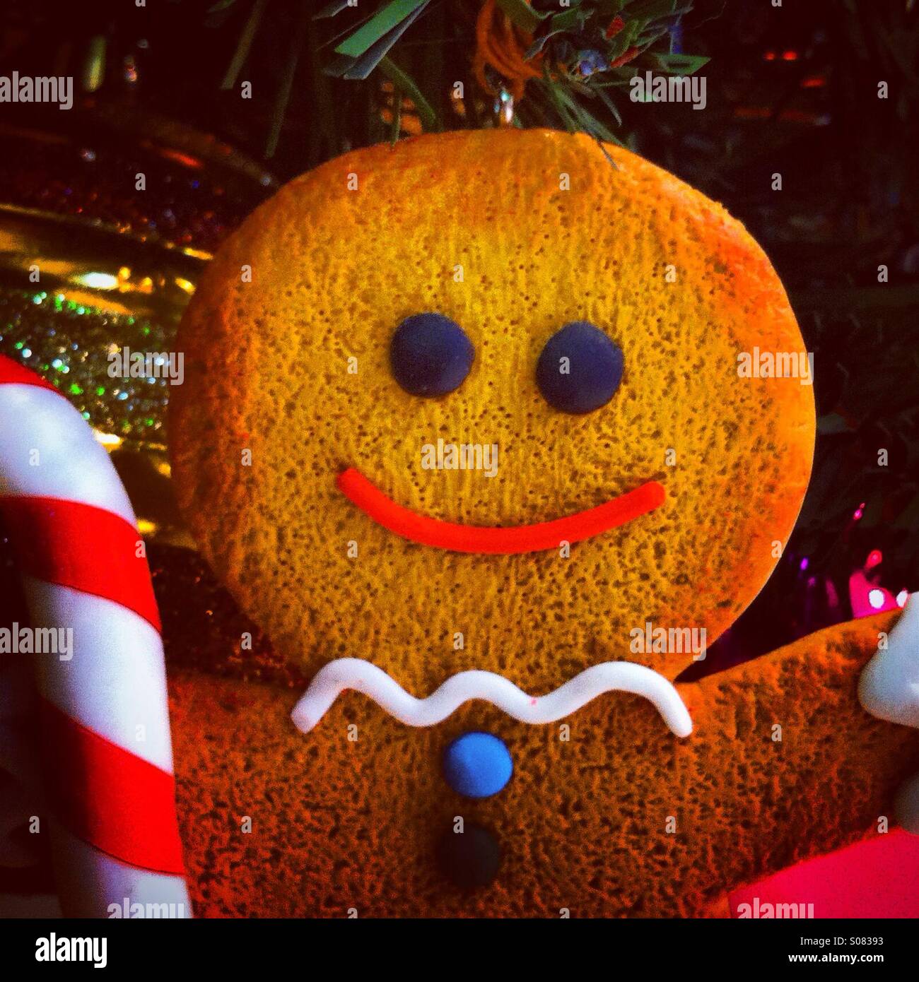 Ginger Bread in christmas decorations Stock Photo
