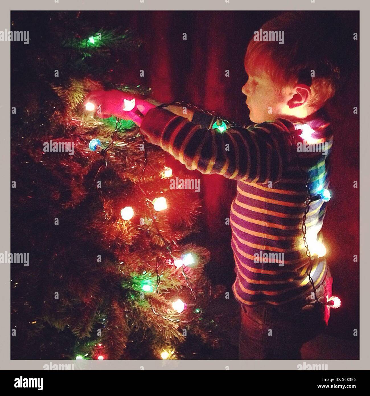 Boy decorating the Christmas Tree Stock Photo