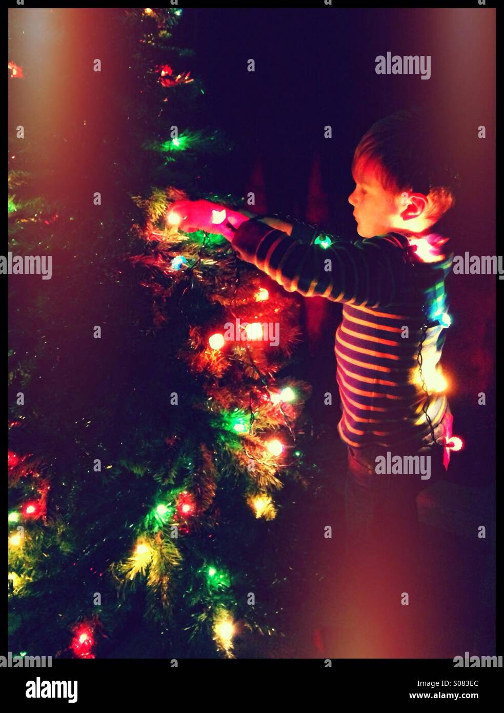 Boy putting fairy lights on a Christmas Tree Stock Photo Alamy