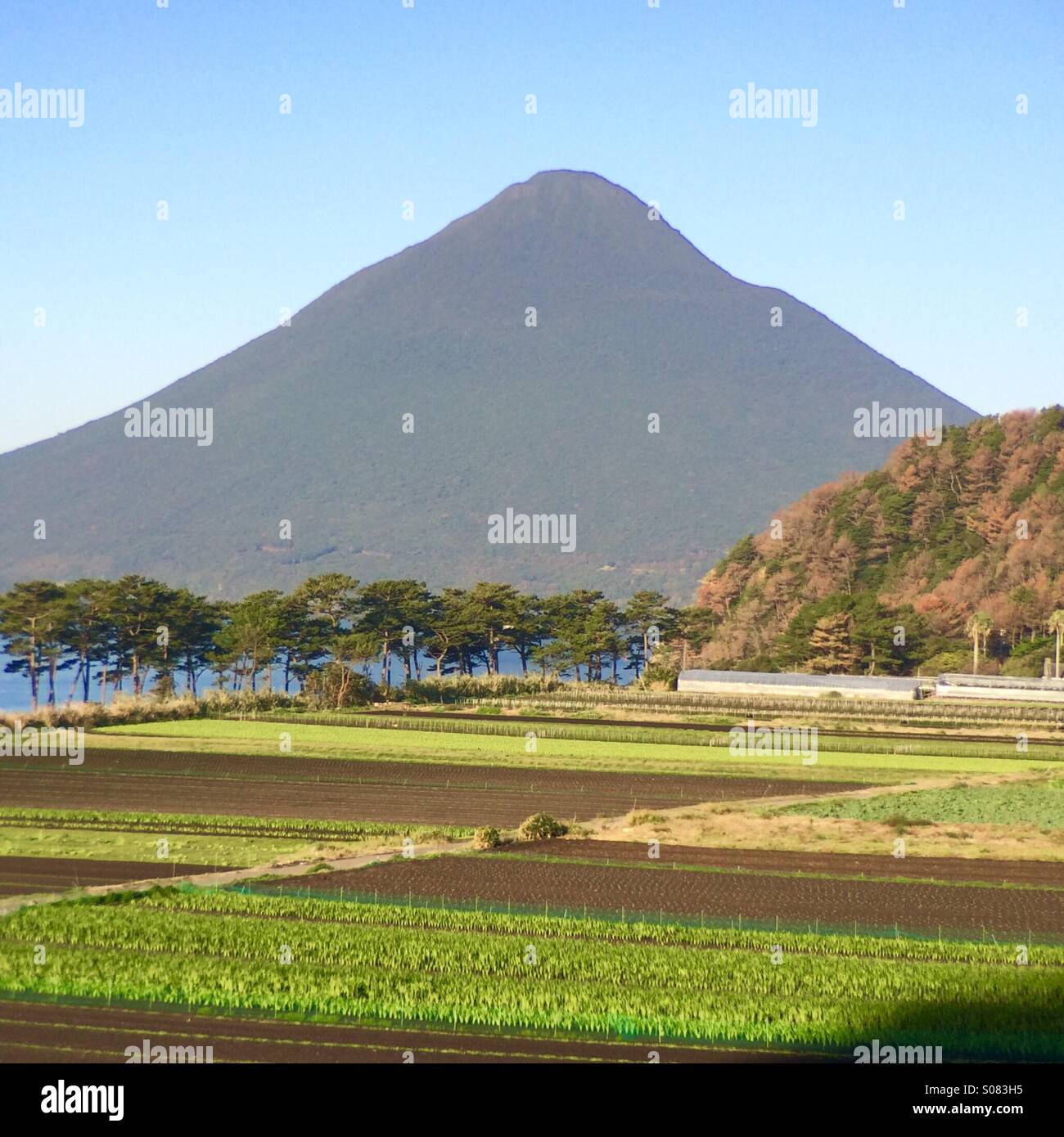 Farms below 924 meter high, Mt. Kaimondake volcano, Satsuma peninsula