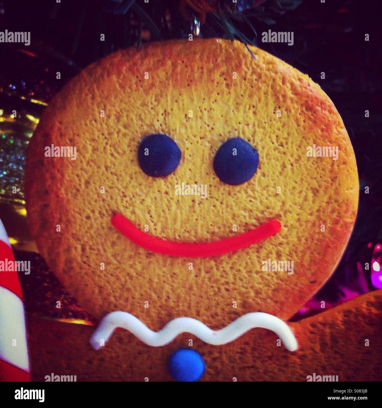 Clope-up on ginger bread head - Smartphone Captured Stock Image