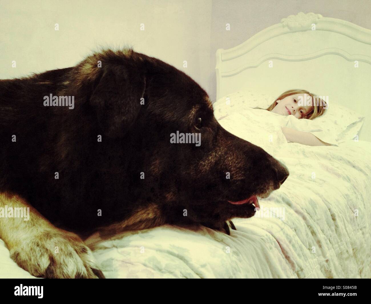 Dog protecting child hires stock photography and images Alamy