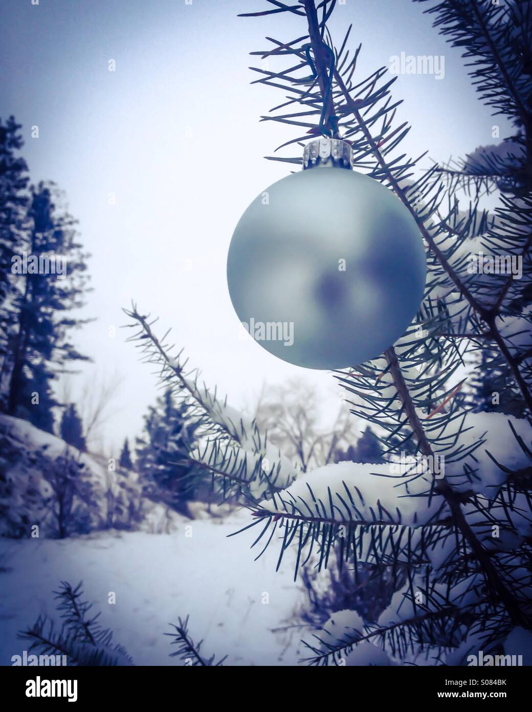 Winter wonderland. Fresh snow covers  the fir trees, the Christmas ornament gives a festive air to the scene. - Smartphone Captured Stock Image