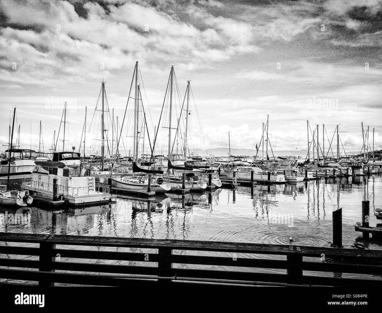Boats at Pier 39 Marina, San Francisco, California, USA - Smartphone Captured Stock Image