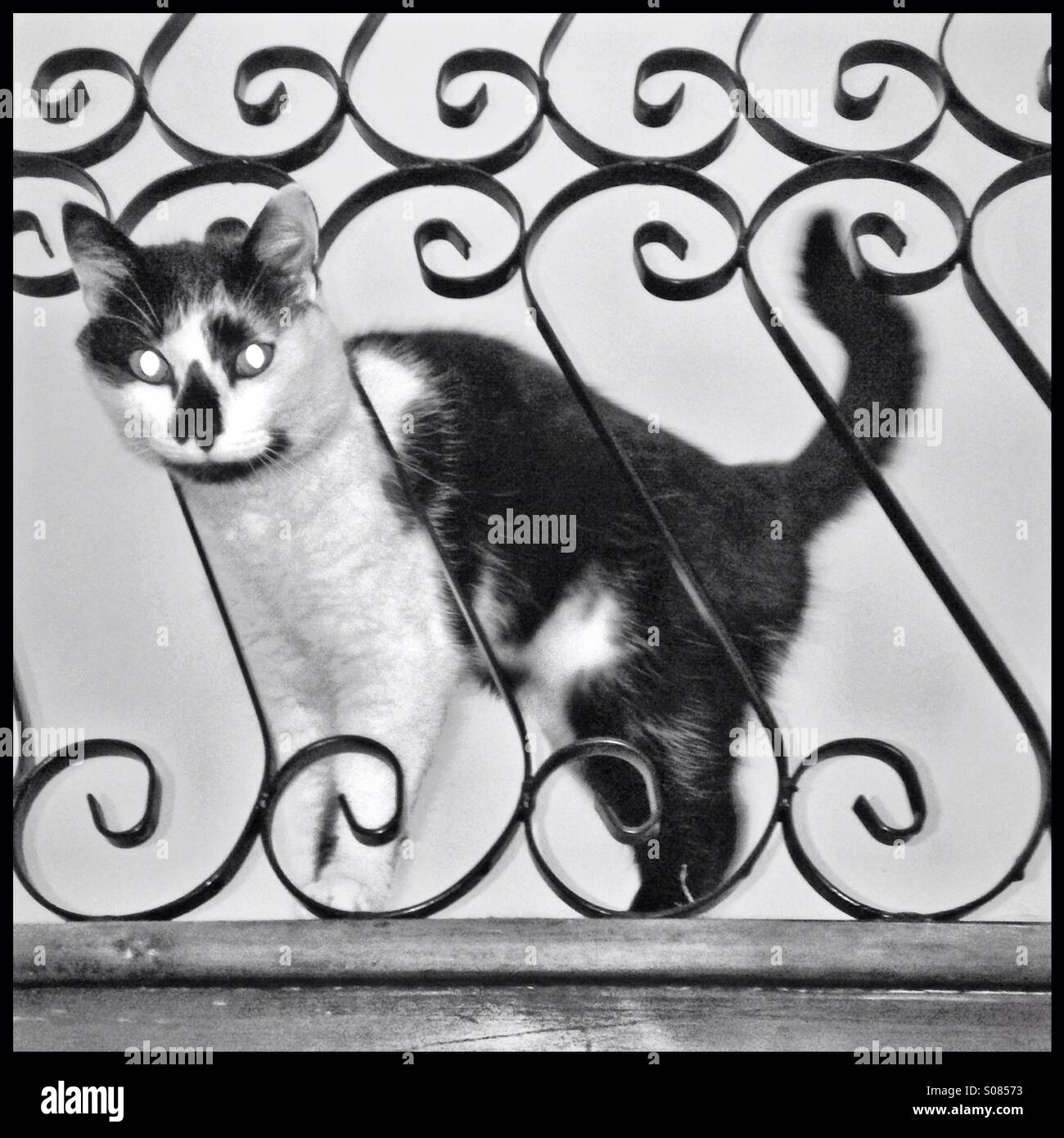 Bannister hires stock photography and images Alamy