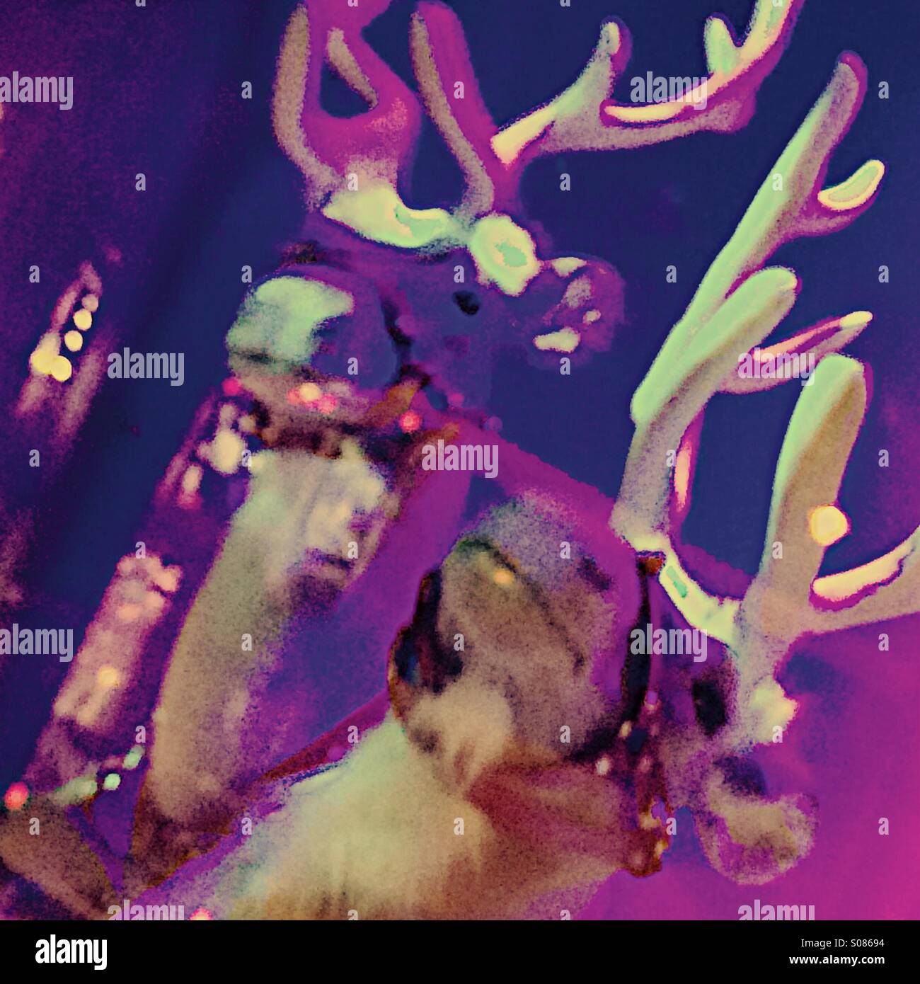 Reindeer blur - Smartphone Captured Stock Image