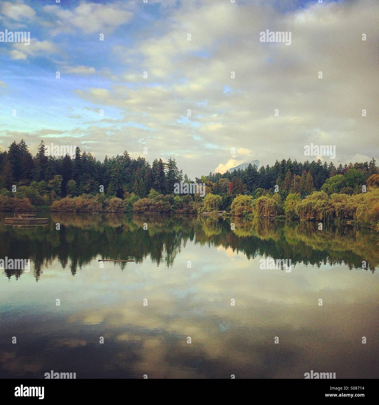 Reflection on Lost Lagoon in Stanley Park in Vancouver, BC. Stock Photo