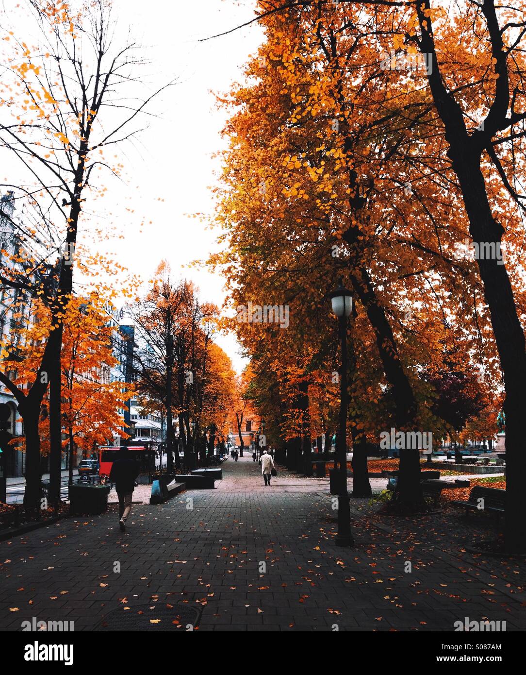 Fall in Oslo. Stock Photo