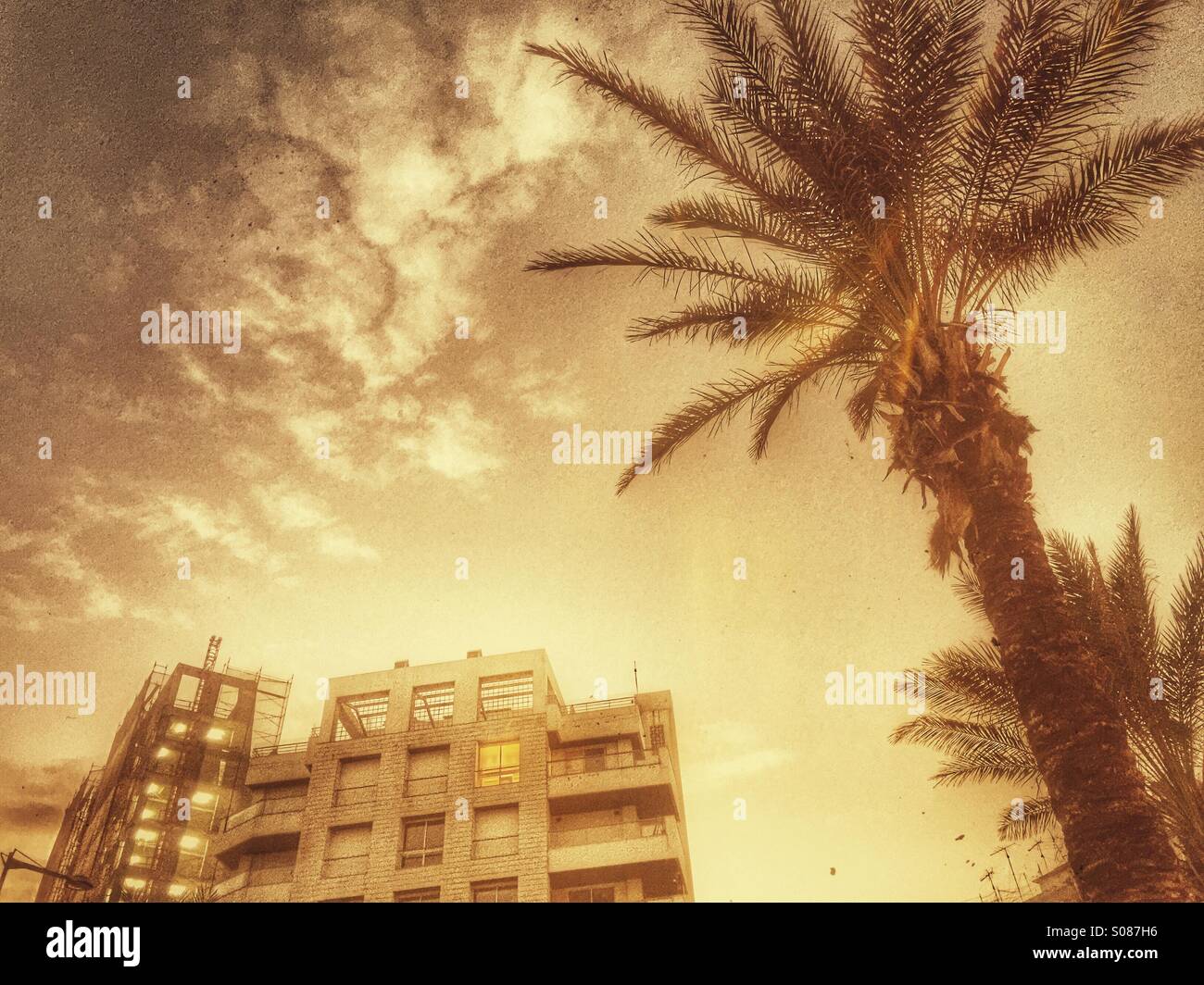 Buildings and palm trees in Beirut - Smartphone Captured Stock Image