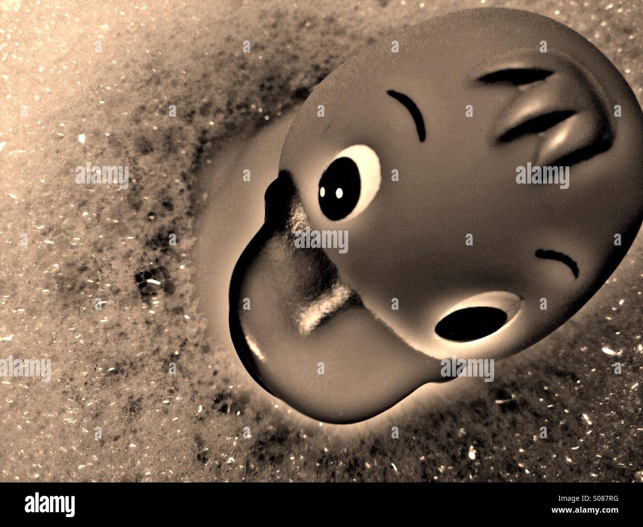 Black and white image of a plastic duck floating on bubbles - Smartphone Captured Stock Image