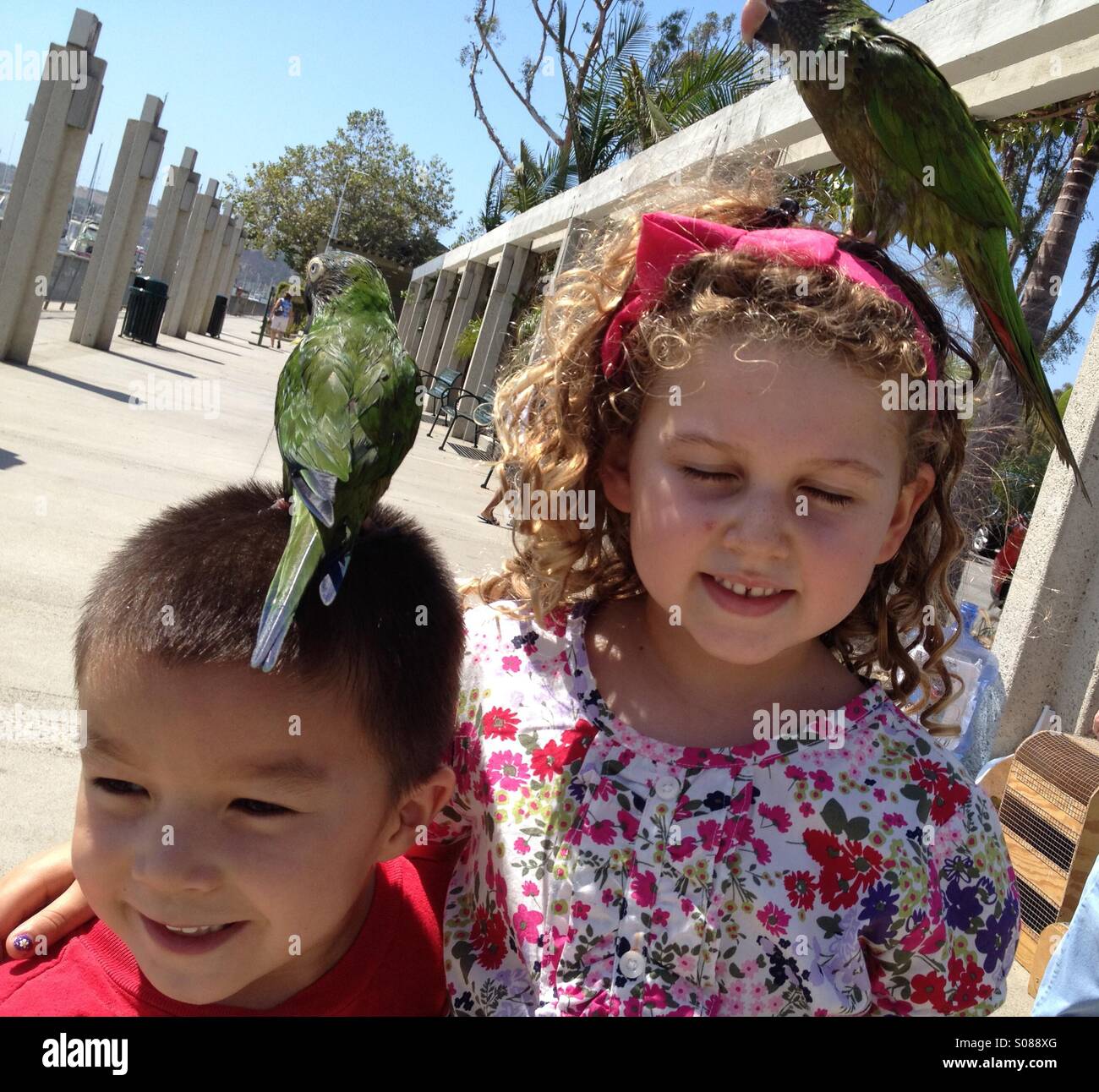 2 kids a girl and a boy with parrots on their heads. Stock Photo