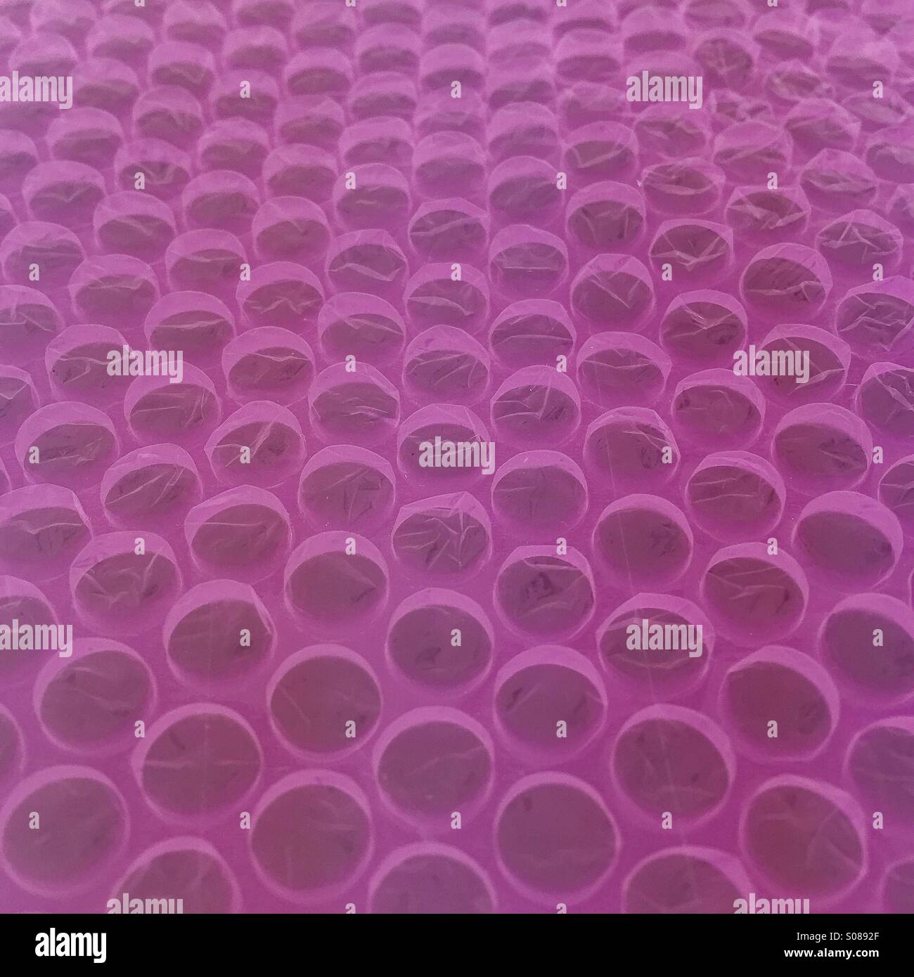 Magenta bubble wrap Stock Photo